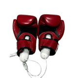 CABS- Boxing glove dryer