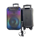 CABS -Bluetooth speaker and Karaoke sound system-with wired microphone 30cm