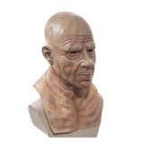 Bald Old Man Face Shield