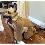 Cabs - Dog Mask