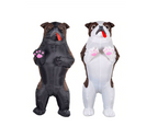 CABS-Inflatable Dog Costume - Brown