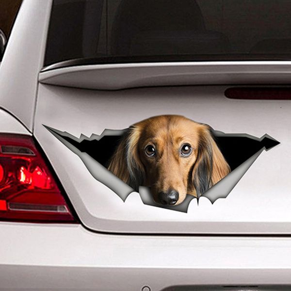 Dachshund 3D Car Sticker Decal