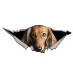 Dachshund 3D Car Sticker Decal
