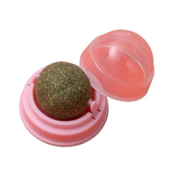 Plastic Catnip Ball Toy for Cats - Round