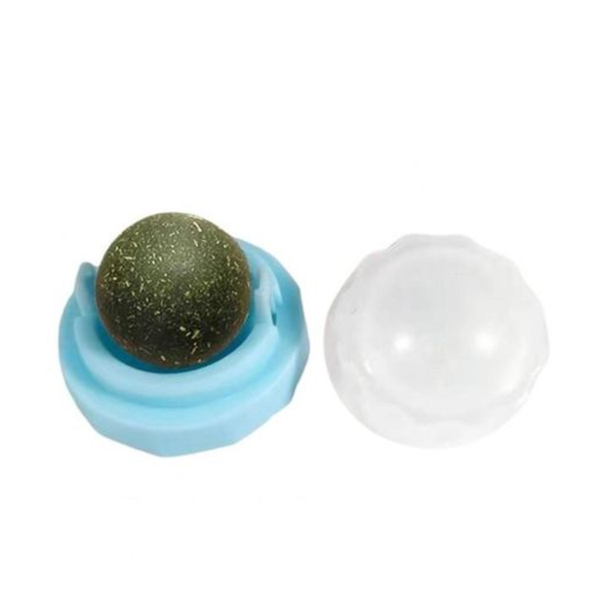 Plastic Catnip Ball Toy for Cats - Round