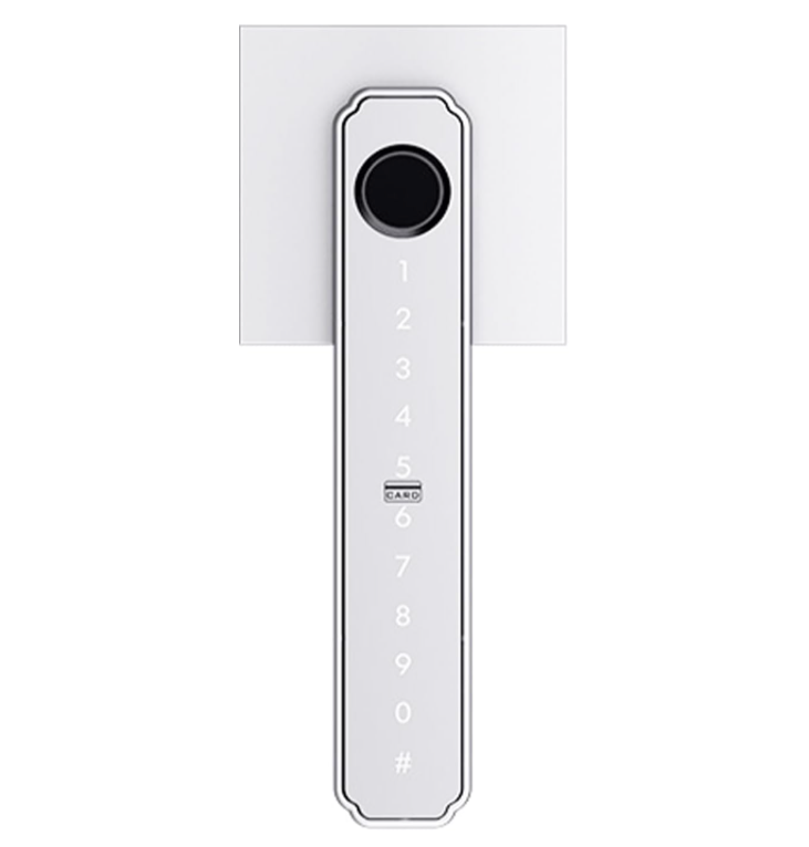 DIY 5 in 1 Smart Lock