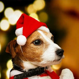 Christmas Santa Hat for Dogs
