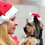 Christmas Santa Hat for Dogs