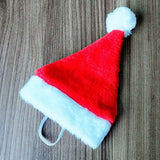 Christmas Santa Hat for Dogs
