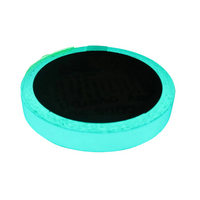 2pcs Glow-in-the-dark Tape, Simple PET Stair Floor Tape