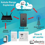 Astute Smart Controller