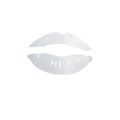 3D Kisses - Acrylic Lips - Wall Mirror Sticker Set - Silver Silver