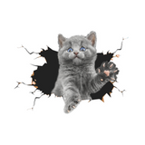 Kitten 3D Window Decal - White