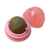 Plastic Catnip Ball Toy for Cats - Round - Pink Pink