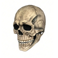 Face Mask - Latex - Skeleton Face