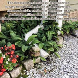 Gutter Downspout Extension