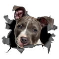 Staffordshire 3d Car Decal