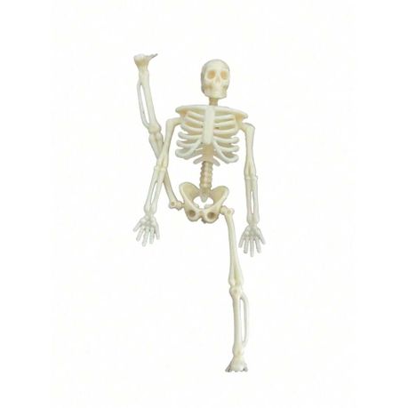 Mini Skeleton -Halloween Decoration- 6 Pack