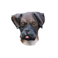 Halloween Mask Bulldog Costume