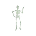 Halloween - Glow in Dark Skeleton Large