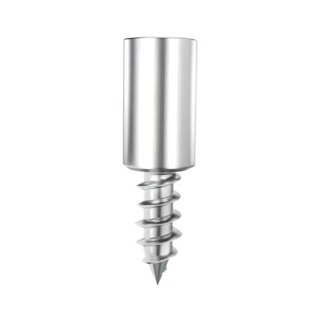 Heavy-Duty 4 Pieces Shelf Support Pins with Screws