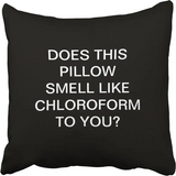 Humorous Decorative Throw Pillow Cover