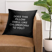 Humorous Decorative Throw Pillow Cover