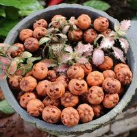 Pumpkins For Halloween Decorations