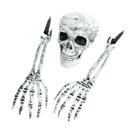 Realistic Skeleton Head and Arms Halloween Decorations