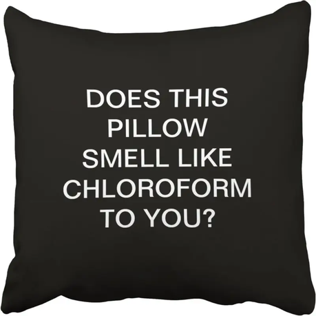 Humorous Decorative Throw Pillow Cover
