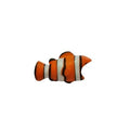 Phone Cable Protector- Identifier - Clown Fish