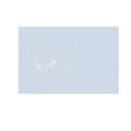 Bullet Hole Broken Glass Prank 1 Piece