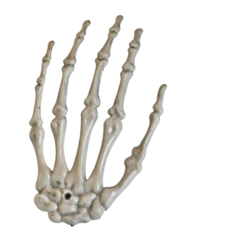 Halloween Skeleton Ornaments Big Claw Hair - 1 Piece