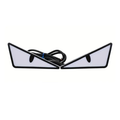 2 Piece LED Eagle Eye Lights