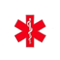 Silver Medical Alert Bracelet Penicillin