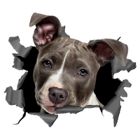 Staffordshire 3d Car Decal